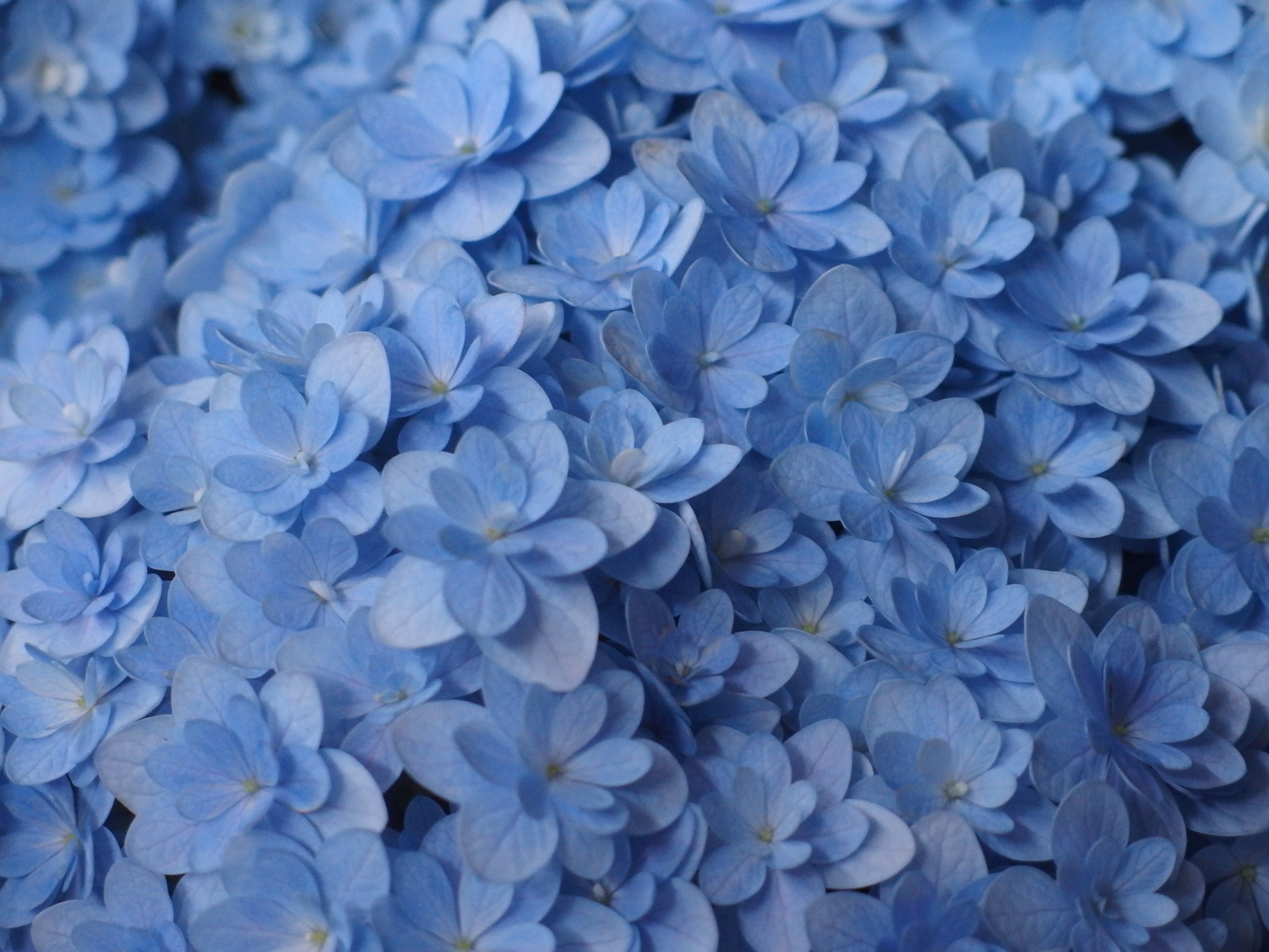 2015-06-07 15.59.57.jpg