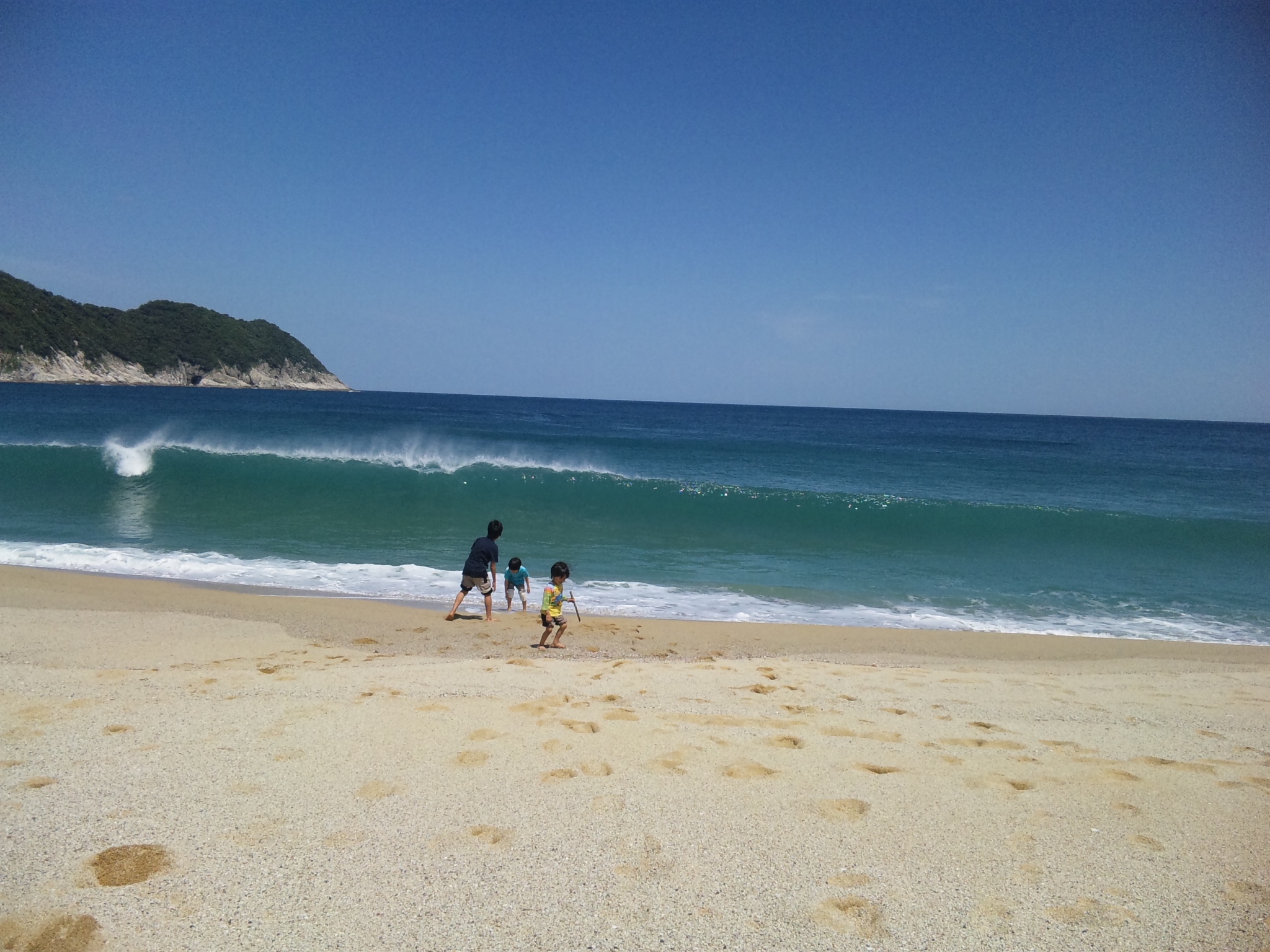 SH380169.JPG