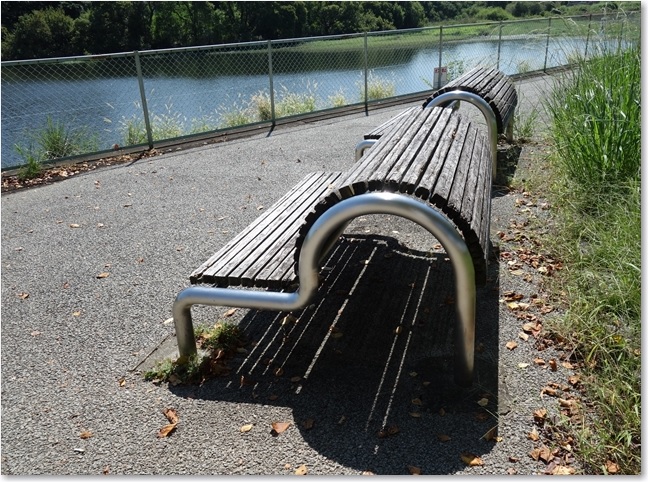 45公園があります