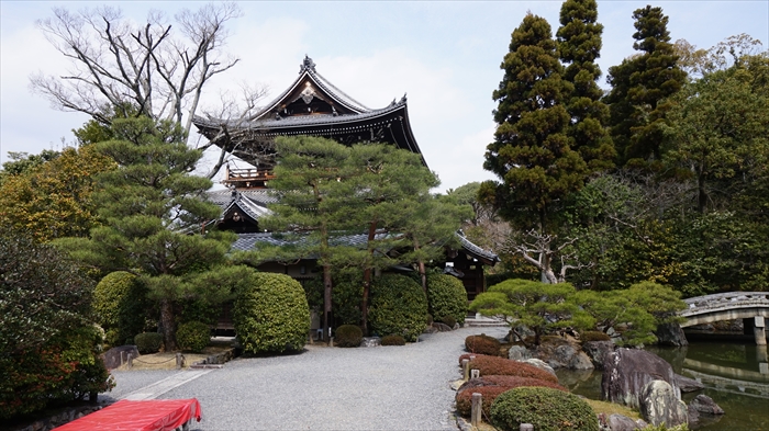 20160323 11392201.JPG