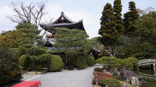 20160323 11392201.JPG