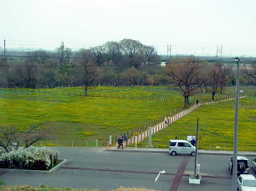 130324-08.jpg