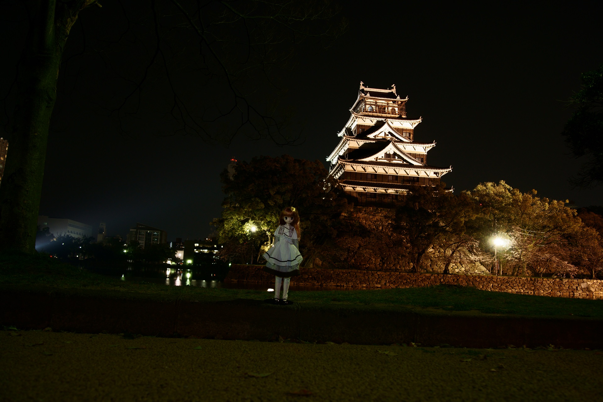 広島城夜景2.jpg