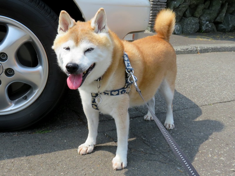 1あちー.jpg