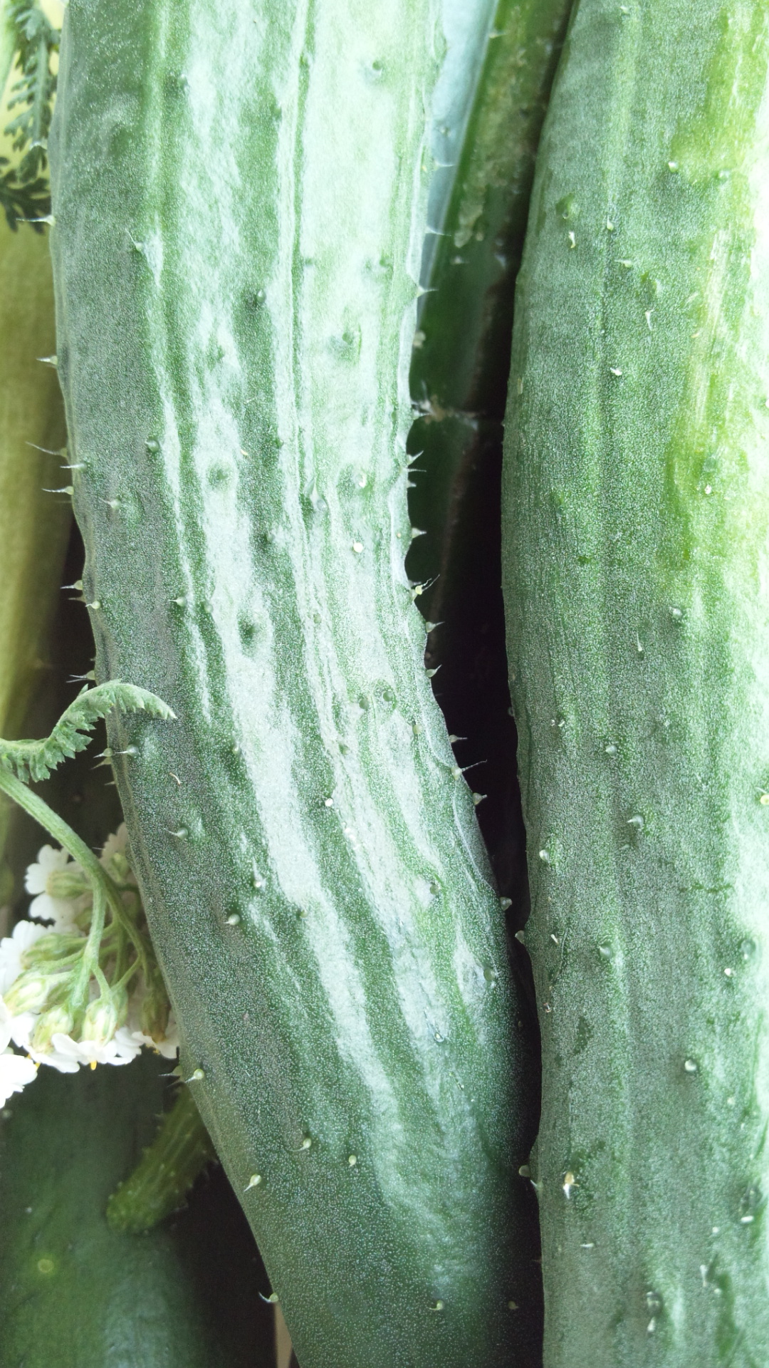 150624_123550.jpg