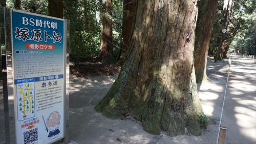 20150430 13422501.JPG