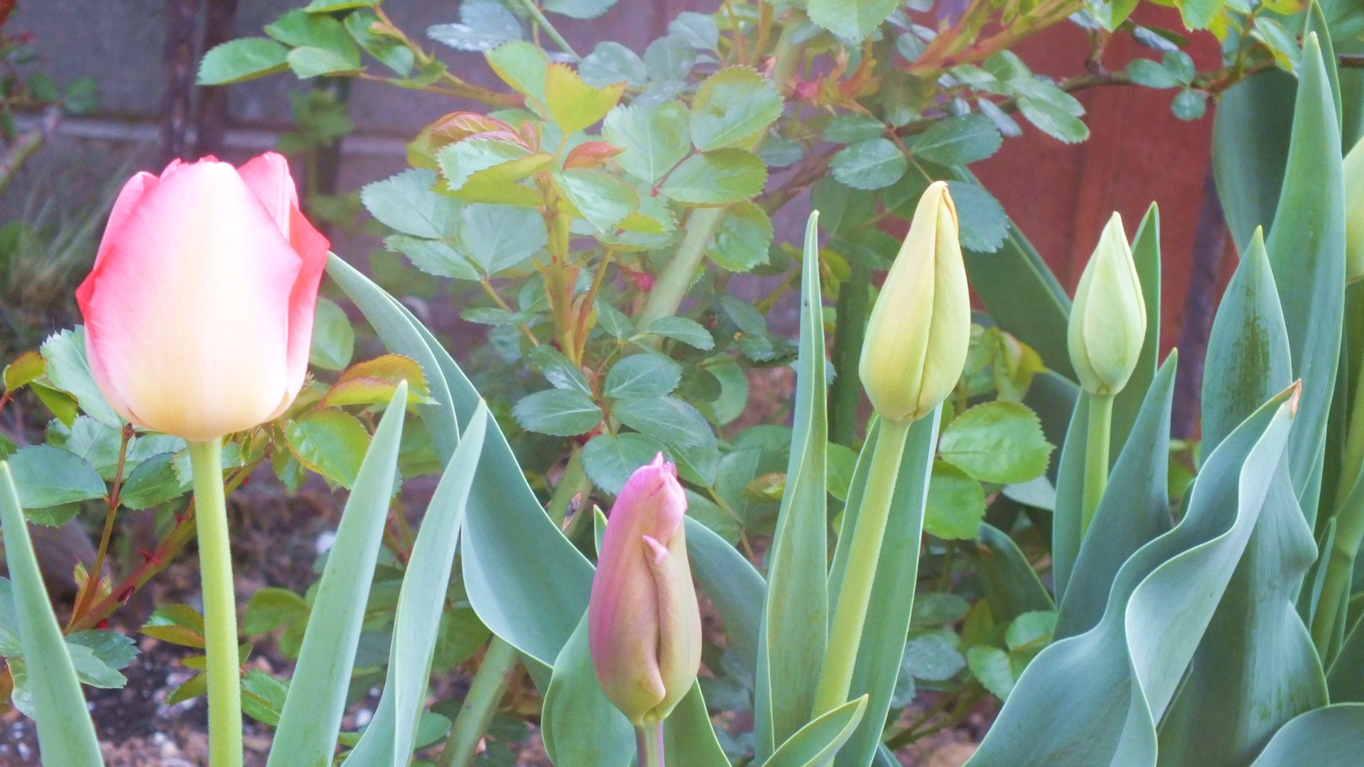 DSCF5855.JPG