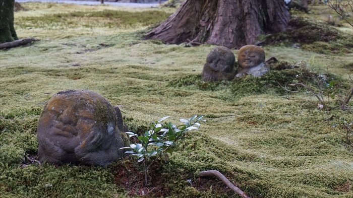 20160323 15463301.JPG