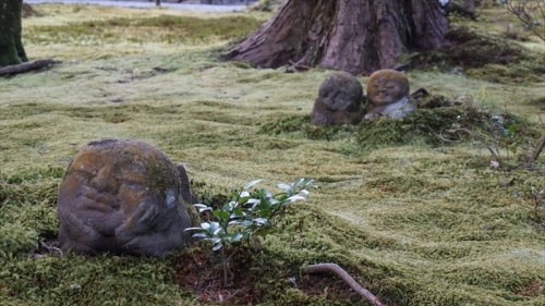 20160323 15463301.JPG