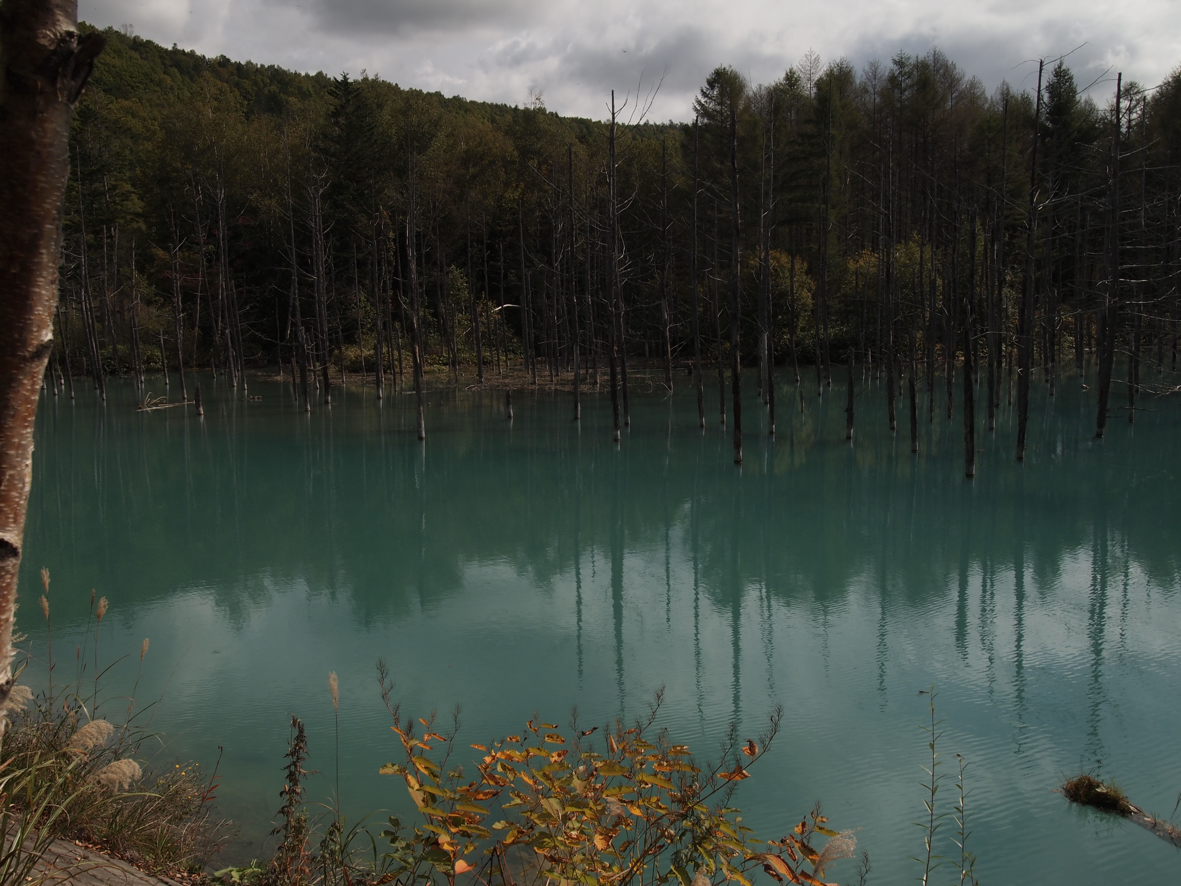 PA030418.JPG