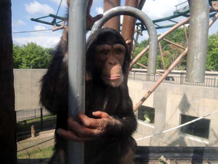 02 旭山動物園.jpg