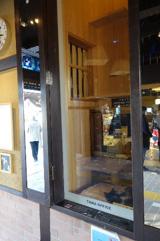 DSC03406.JPG