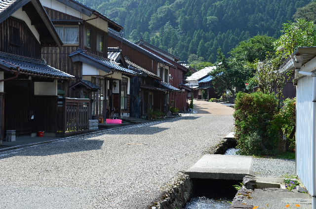 DSC_3444.JPG