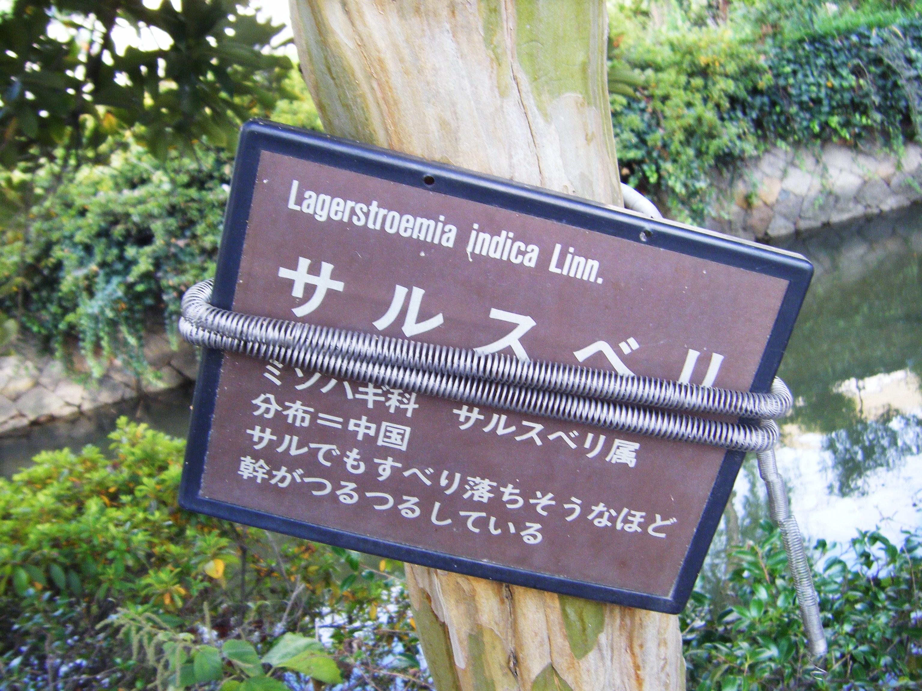 DSCF1159.jpg