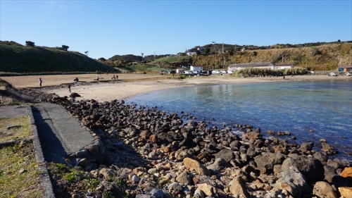 20150108 13292701.JPG