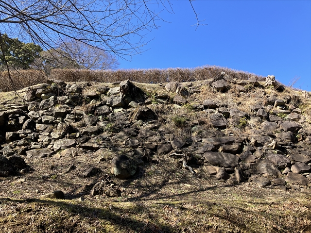 IMG_2084_R.JPG