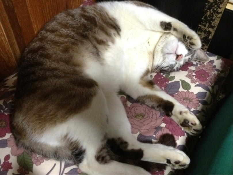 201304101805_9058_iphone.jpg