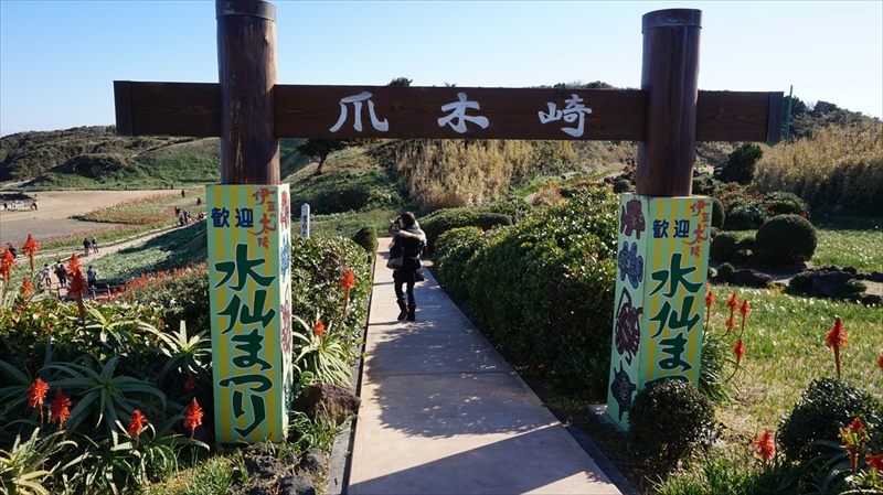 20150108 13043401.JPG