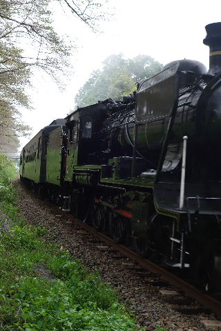 DSC03271.JPG