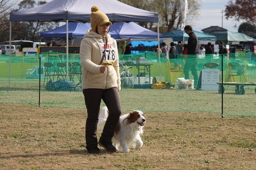 IMG_4663.JPG