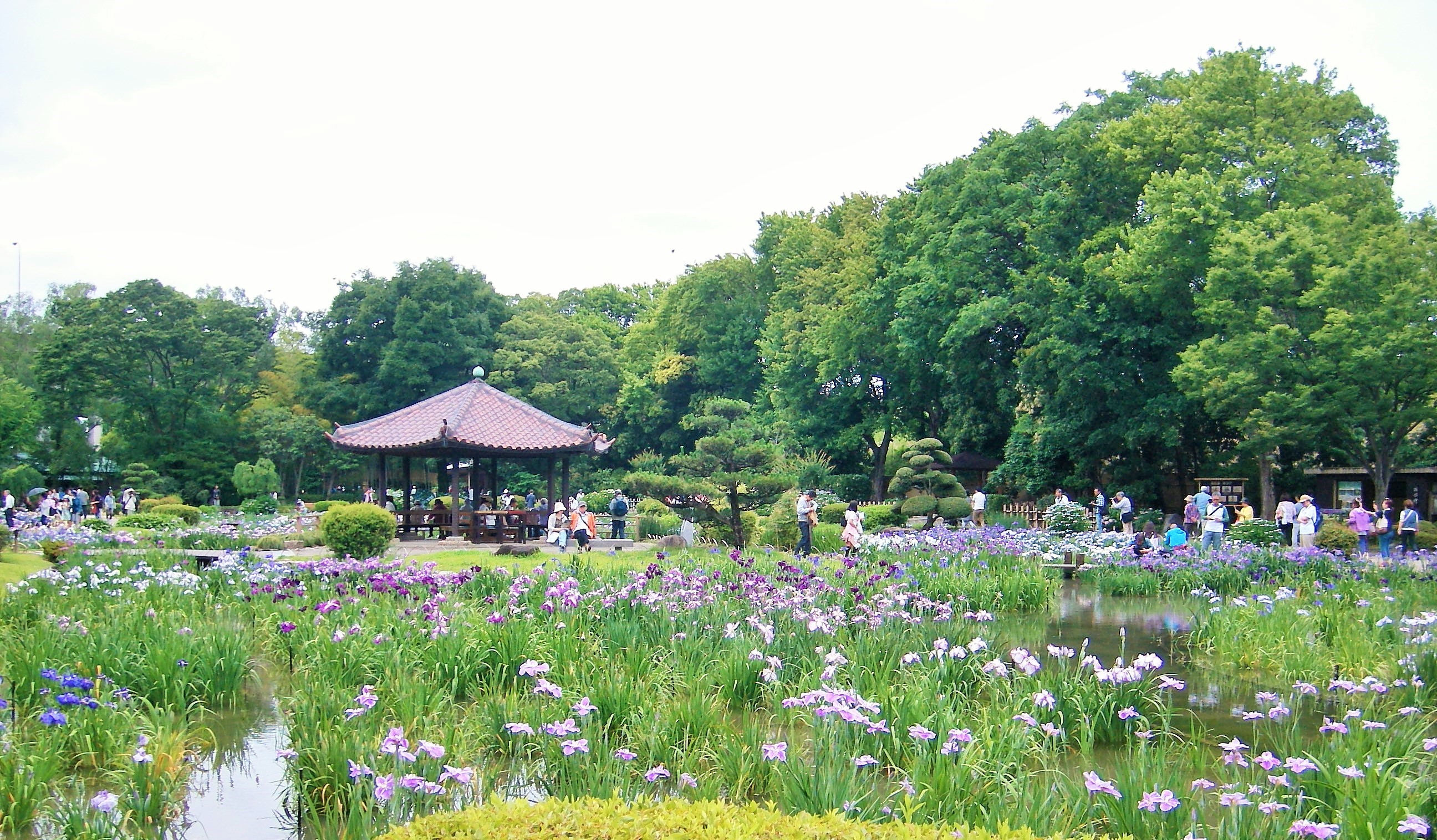 UNI_0023.JPG