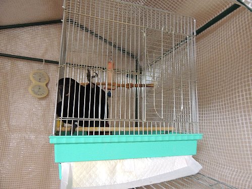 DSCN4086.JPG