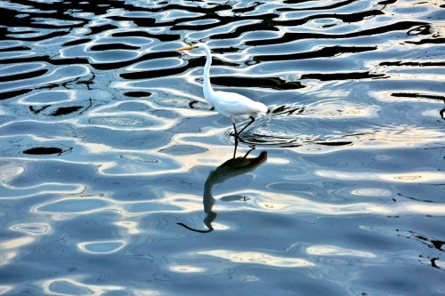 B97A6847 (1024x683).jpg