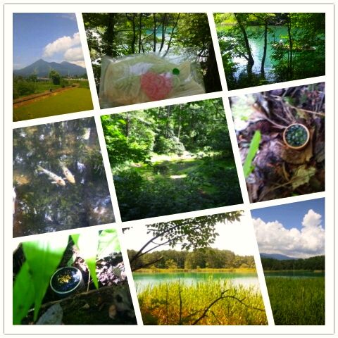 PhotoGrid_1345223846716.jpg