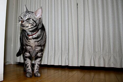 img_cyapi_8745.jpg