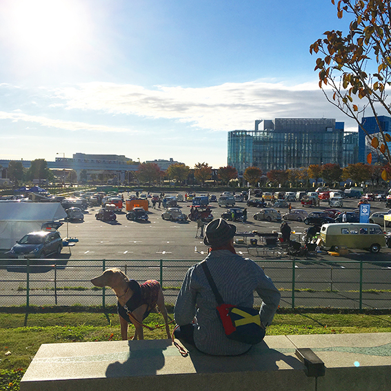 ファイル 2017-11-14 16 24 21.jpeg