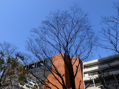 RIMG0883.jpg