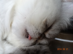 DSC04318 (300x225).jpg