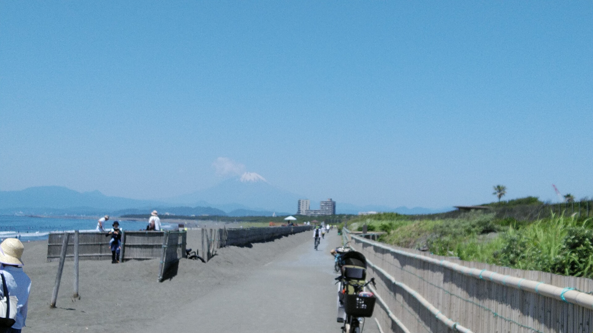 20220529  DSC_0002.jpg