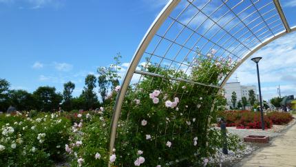douhokunotabi2012.7-haboro-baraen-e.jpg