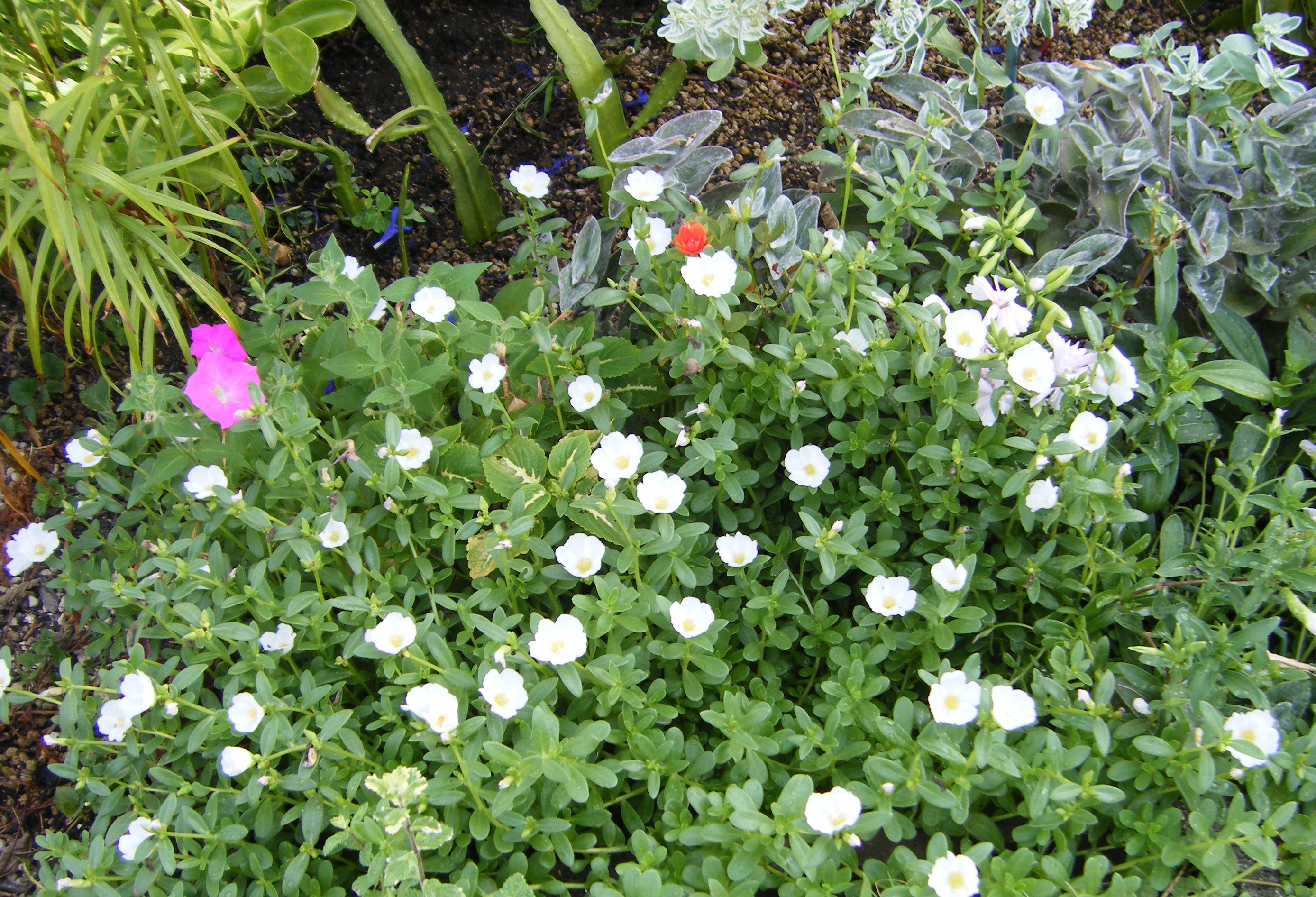2012_09060002.JPG