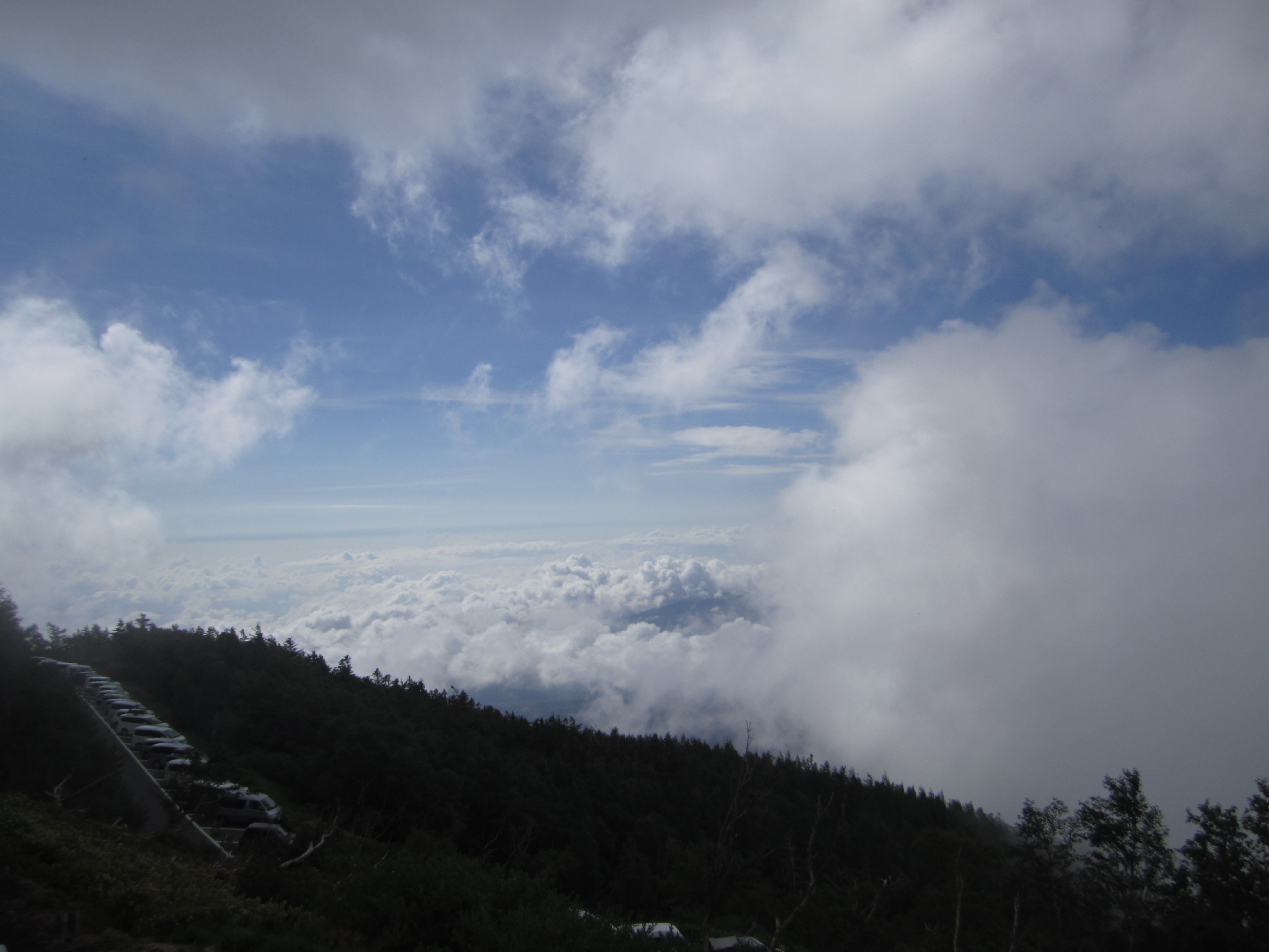 IMG_2208.jpg