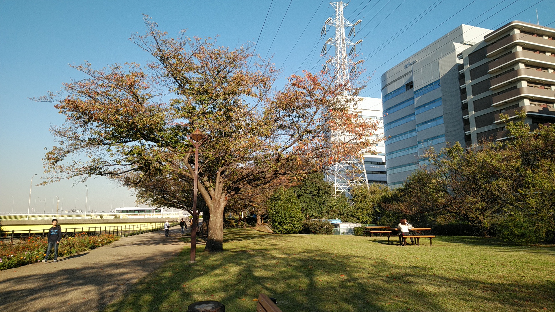 20191106  DSC_0002.jpg.jpg