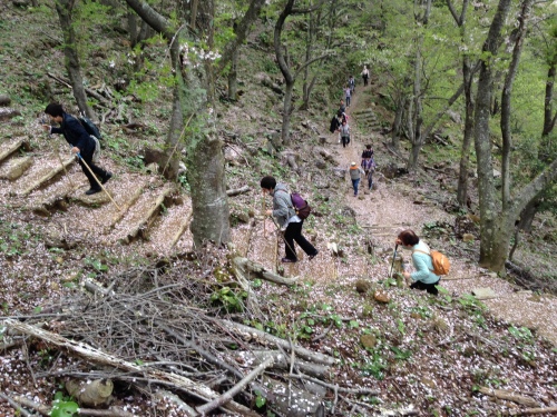 熊野古道.JPG