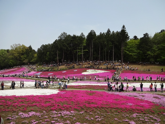 DSC01364 (640x480).jpg