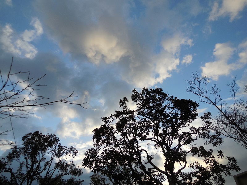 DSCN3981.JPG