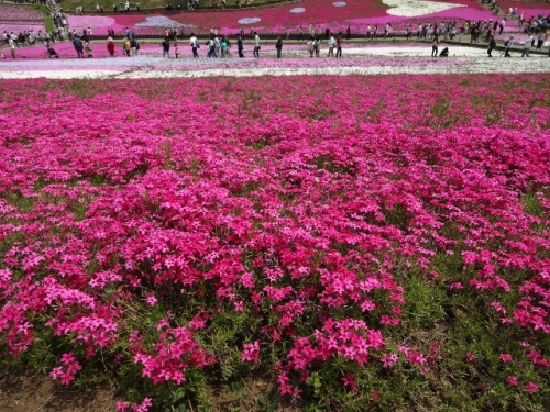 DSC01365 (640x480).jpg