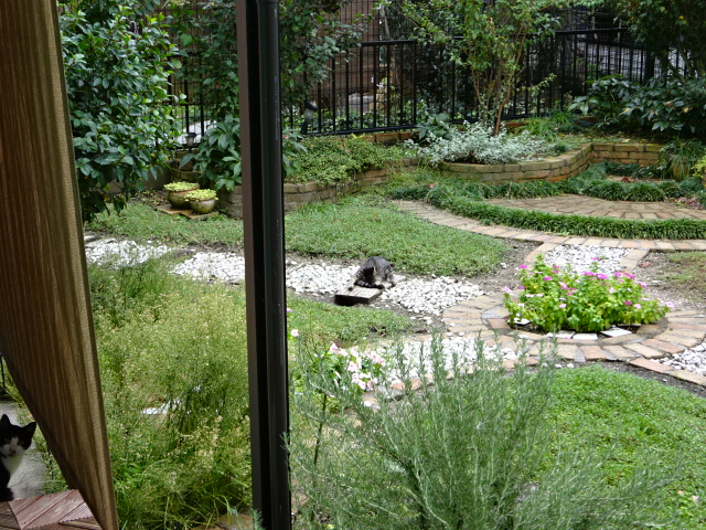 DSC07779.JPG