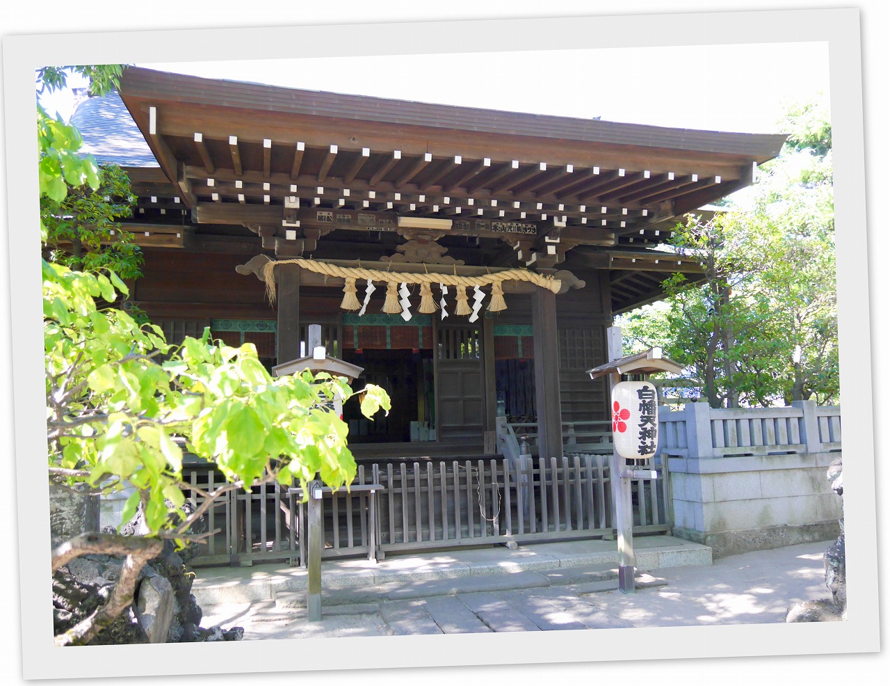 2023-07-30mamatamさんと神社巡り！17.jpg