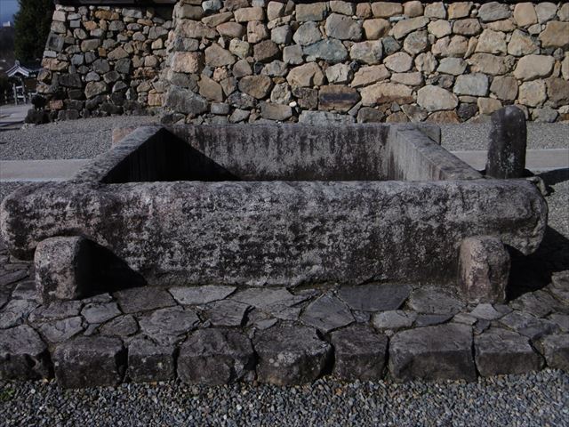 P1010317_R.JPG