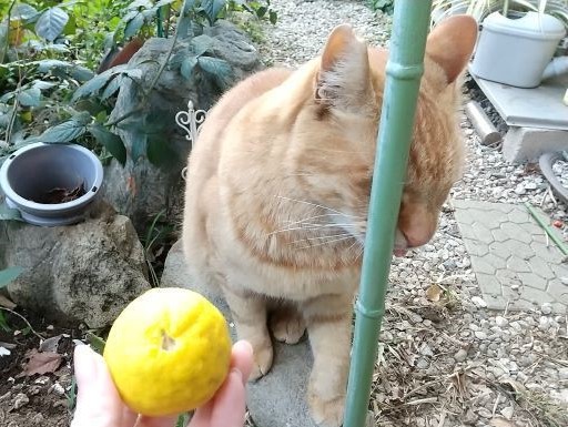 DSC_8289.JPG