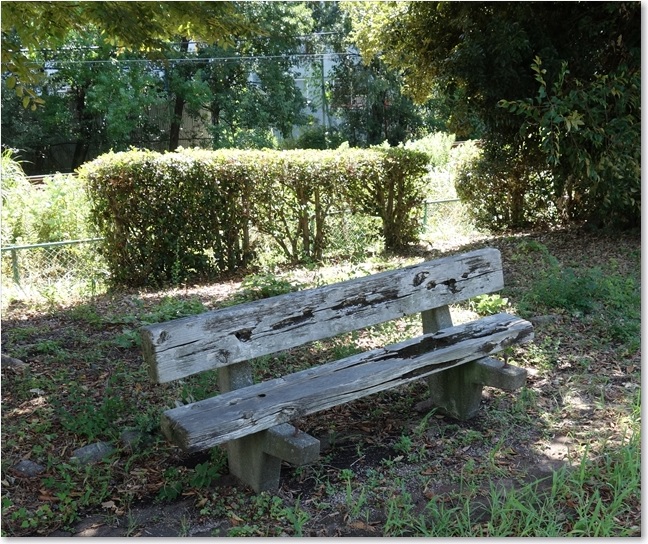 42このベンチには座らずに・・・