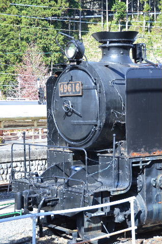 DSC_1771.JPG